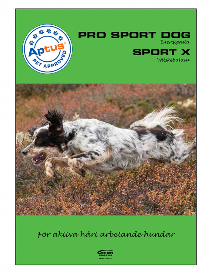 Broschyr Pro Sport Sportx